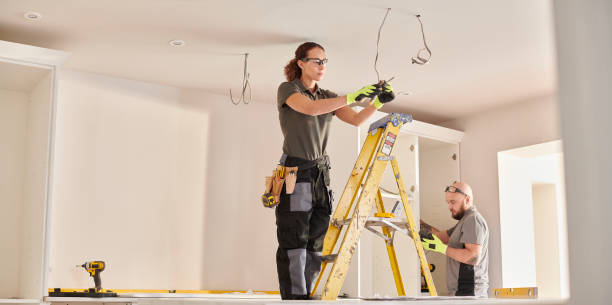 Best Electric Panel Repair  in Orida Gulf Coast University, FL